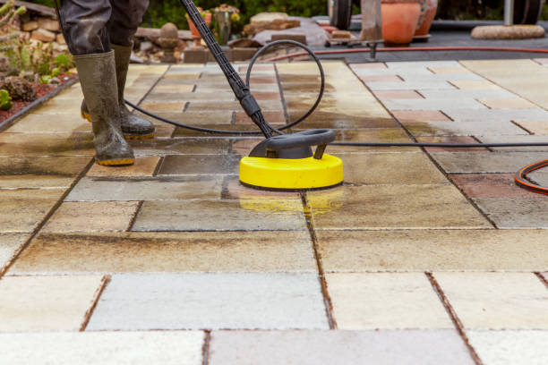 Best Pre-Holiday Cleaning  in Tolono, IL